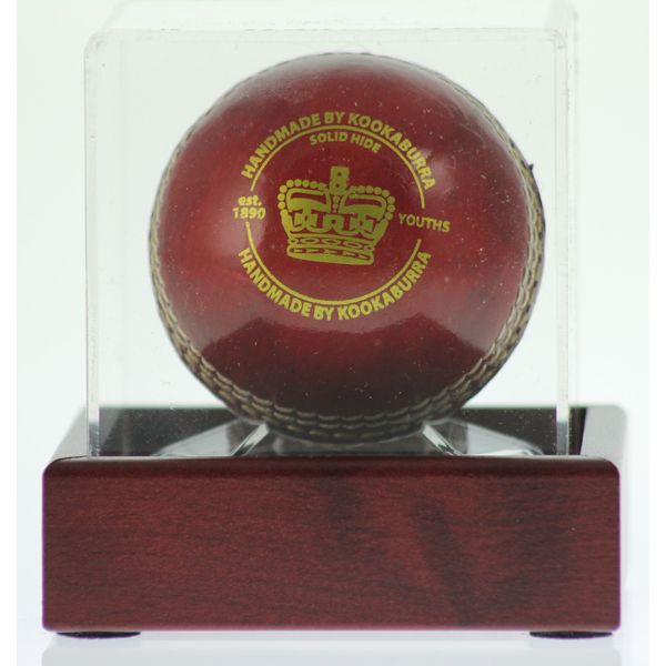 CRICKET BALL DISPLAY CASE