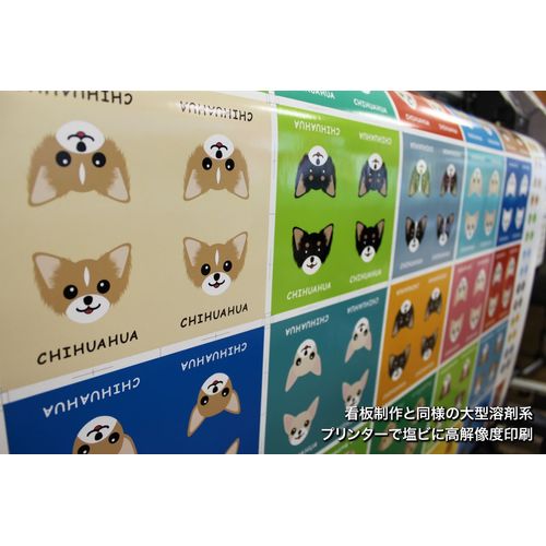 Gokigen cst101-c1 Long Hair Cat Sticker, Brown Tabby Long