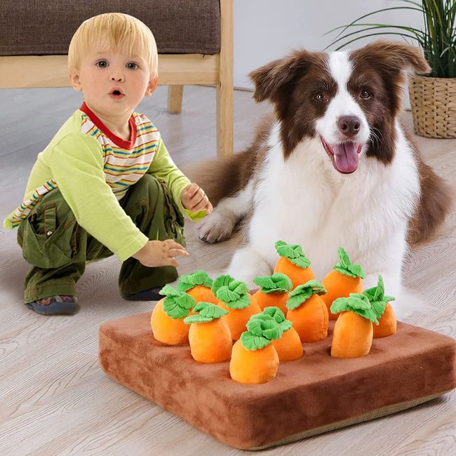 Pull A Carrot Dog Toy