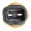 Delphi TS10295 Temperature Sensor