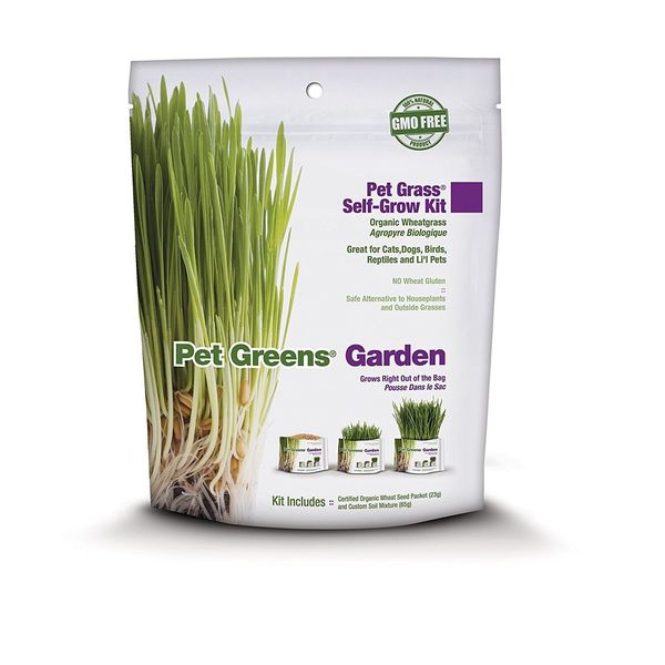 Pet Greens Pet Grass Organic Wheatgrass Self Grow Kit (3 Pack)