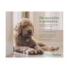 Hyperbiotics Pro Pets | Probiotics for Dogs & Cats | Small Micro Sized Chewab...