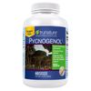trunature Pycnogenol 100 mg, 60 Vegetarian Capsules Powerful Antioxidant Support