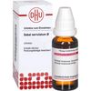 Sabal serrulatum Urtinktur DHU, 20 ml Lösung