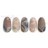 Sha-Nail Pro EMBROIDERY LEAF 1 Piece