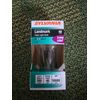 Sylvania Landmark Clear Long Life 40w