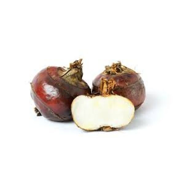 Fresh -GPS- Water Chestnuts ( 3 Lbs )