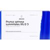 Prunus Spinosa Summitates RH D3, 8 x 1 ml