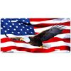 American Flag Soaring Eagle Front Novelty Car Tag Sign with Custom Background Options