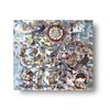 POP CLASSICO(初回生産限定盤)(DVD付)(特典なし)
