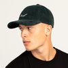 Reell Single Script Cap, Bronze Mist Cord