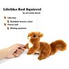 Ice King Bear Reaistic Red Squirrel Stuffed Animal Plush Toy (Original)