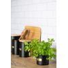 TYPHOON OTTO Collection Coffee Canister, Black, 1.4 Litre, Steel, Bamboo, Silicone