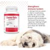 Derm-Tabs Extra Strength for Dogs (60 Chewable Tablets)