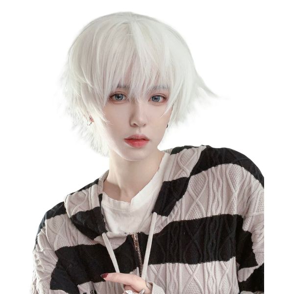 Wig, Men's Short Wig, Natural, Men's Clothing, Black, Full Wig, Harajuku, Popular, Handsome Fashion, Loose, Heat Resistant, Disguise, Unisex, Net / Comb Included (New Edition, Silver)