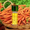 3ml CARROT ESSENTIAL OIL * THERAPEUTIC GRADE .1oz