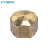 LTWFITTING 3/8-Inch Brass Compression Cap Stop Valve Cap,Brass Compression Fitting(Pack of 60)