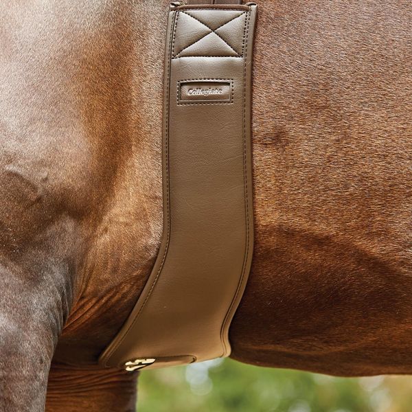 Collegiate Anatomic Girth, Brown, 125cm/50"