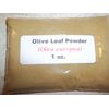 1 oz. Olive Leaf Powder (Olea europaea)