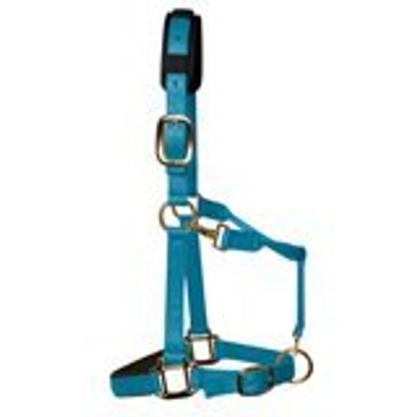 KM Elite Luxury Padded Headcollar: Pastel Blue: Large