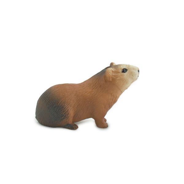 Guinea Pig, Realistic, Toy, Figure, Model, Replica, Kids, Gift, 2 " CH616 BB167