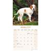 Pointer Calendar 2026 | 16 months | with FREE Organisational Stickers
