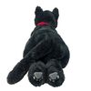 Sun Lemon Plush Toy, Lap Cat, Black, Medium Size, Cat ...