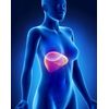 LIVER SUPPORT COMPLEX -anti-inflammatory support - milk thistle pills - 2 Bottle