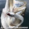 Coreman VJ-22 Vibration Jig Head #041 Silver Head/Shallow Bait
