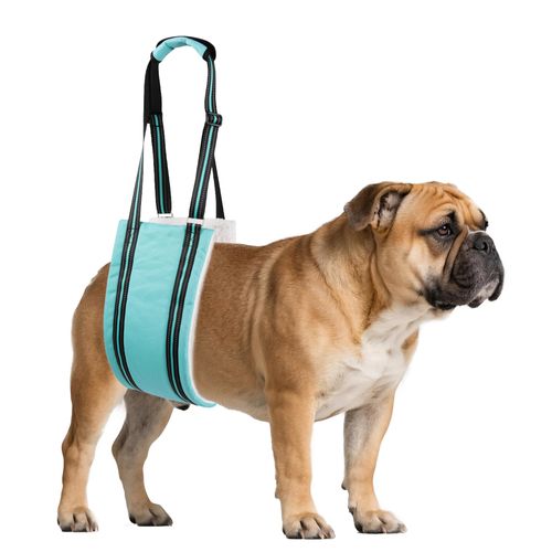 AIITLE Dog Slings for Small Dogs - Adjustable Hind Leg & Hip Support Harness, Plush Rehab Lift Aid with Reflective Straps, Assist Elderly/Injured/Post-Surgery Dogs with Mobility Issues (Turquoise, S)