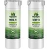 Water Filter Compatible with XWFE (Built-In CHIP), Replacement for GE XWFE, X...