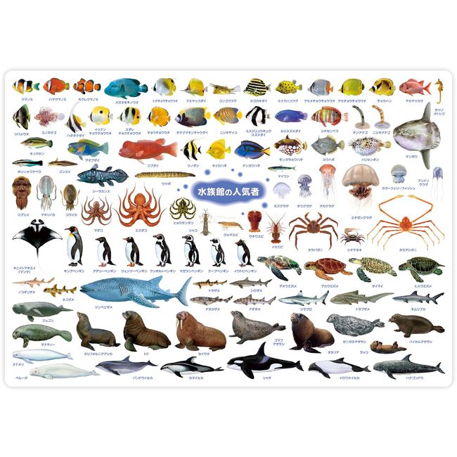 The Access Sea Creatures Picture Book ajiki A4 Aquarium Popular Encyclopedia Series