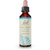 Bach Original Flower Remedies, Rock Water - Flexible Mind - Natural Homeopathic Flower Essence for Emotional Balance - Vegan, Gluten Free, Sugar Free - 20mL Dropper