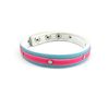 Fresh Collar with Snaps, 3/4-inch, Pink/Blue