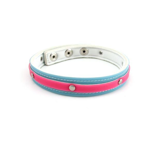 Fresh Collar with Snaps, 3/4-inch, Pink/Blue