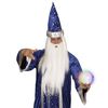 WIDMANN 00015 Changing Light Crystal Ball ? One size