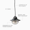 BAREBONES Edison Pendant Light LED Red