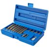 Bergen 14pc 1/2" DR Ribe Socket Bit Set M5-M14, Polydrive, Length 30-75mm B1168