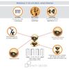 Infinity Decor Aged Brass Victorian Hammered Pattern Ball Round Door Knobs Pairs 45mm Pull Handles Set - Ideal for Interior & Exterior Use