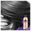 Aussie Colour Mate Shampoo, 300 ml - Pack of 3