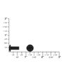 Buckleguy.com Chicago Screws, Flat Cap, Black Matte, Solid Brass-LL (50 per bag), Multiple Sizes