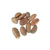 UZIZA Seeds Plus 4 More seeds
