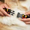Buckle-Down 9-15" Cali Tropical Black/Multicolor Plastic Clip Collar, Small