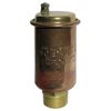 1/2" Pipe Automatic Air Vent