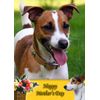 Jack Russell Dog Mothers Day Card