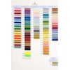 DMC Stranded Cotton Shade Card - W100B