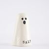 Mud Pie Halloween Ghost Salt & Pepper Set, assembled 3 1/4" x 4 1/2"