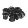 Race Face Outer Chainring Bolts, Set/10 - Silver by RaceFace