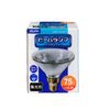 ELPA Beam Bulb 60W E26 Light Collecting Type EBRS110V60W/N