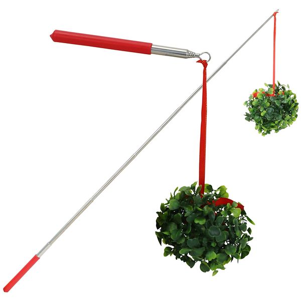 Iconikal Funny Extendable Mistletoe-On-A-Stick Joke, 2-Pack